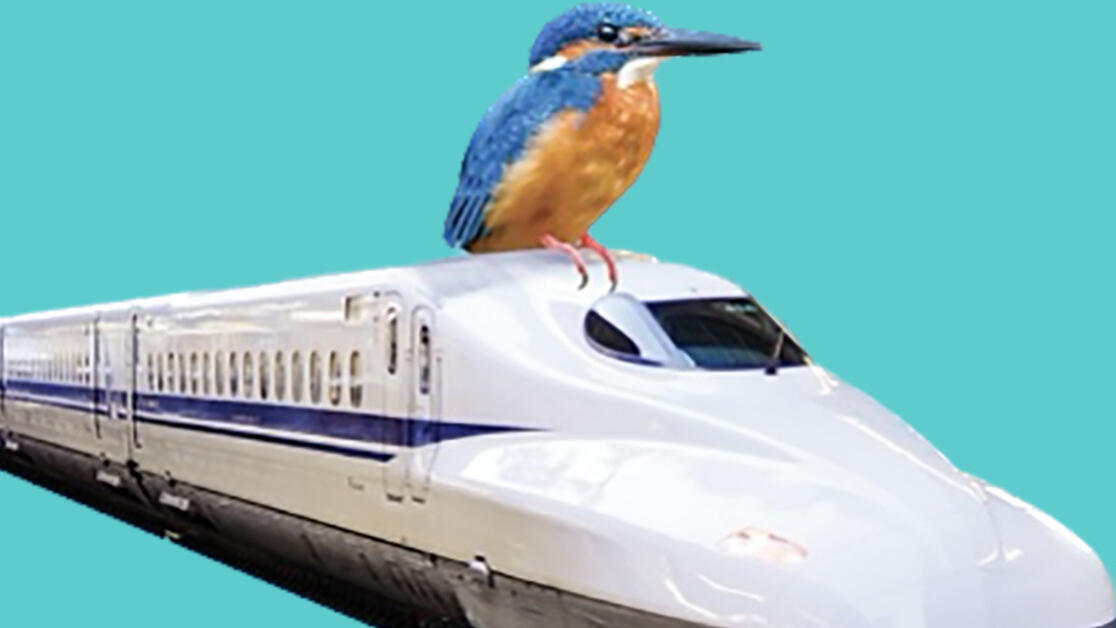 Kingfisher Train