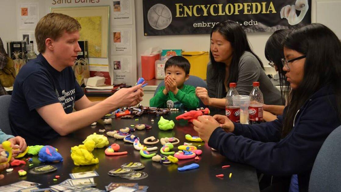 Children building clay embryos 