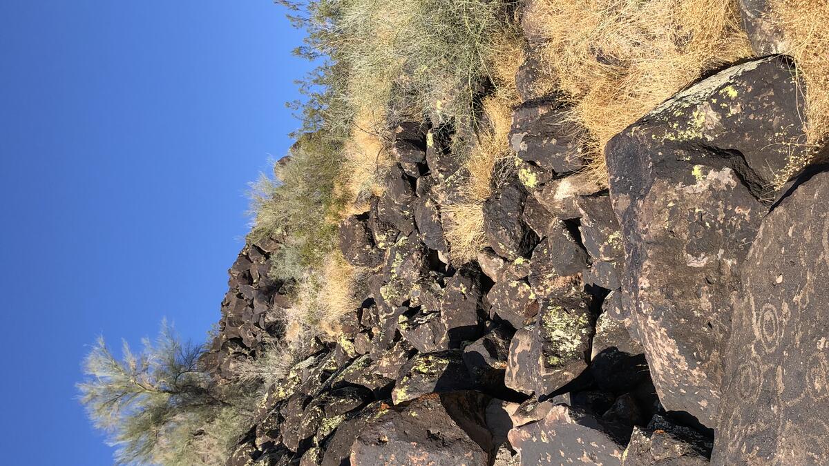 Petroglyphs on a boulder