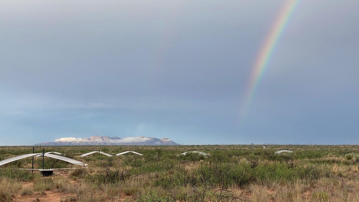 drylands field site with rainbow in sky